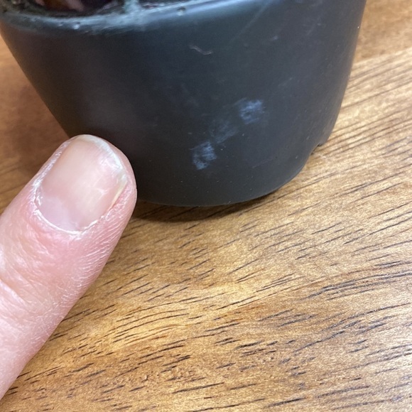 Josef Seibel AirPed Plus Patent Leather Croc Print Wedge Comfort 6-6.5 EU 37 - Picture 15 of 15